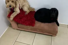 1_10