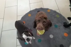 1_2