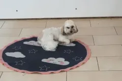 1_3