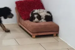 1_4