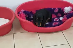 1_5