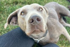 Untitled design - 1